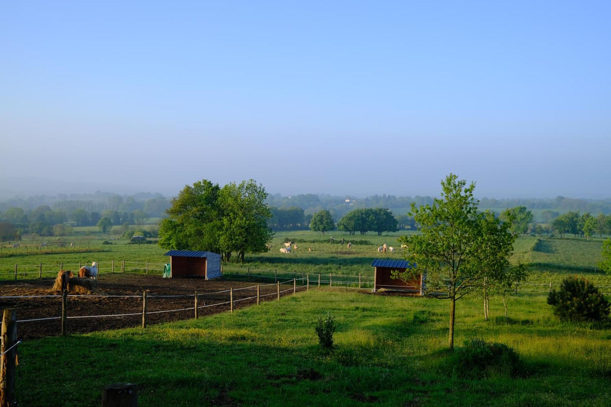 Les Chambres De La Forge Des Collines Les Herbiers Exterior photo